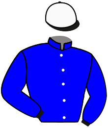 Casaque n°5
