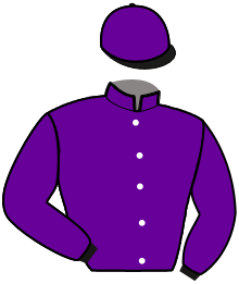 Casaque n°11