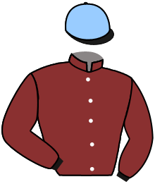 Casaque n°11