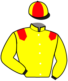 Casaque n°11
