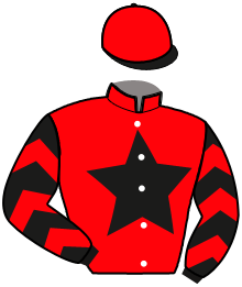 Casaque n°6