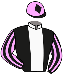 Casaque n°16