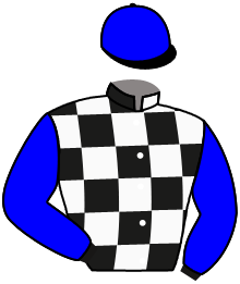 Casaque n°3