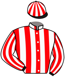 Casaque n°7