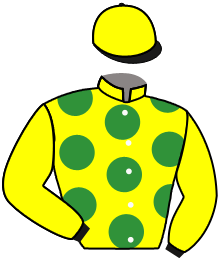 Casaque n°8