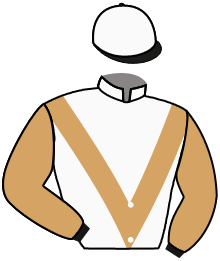 Casaque n°2