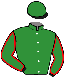 Casaque n°11