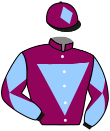 Casaque n°11