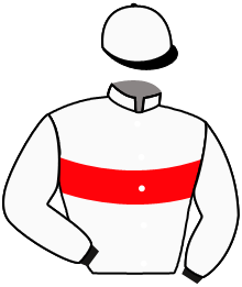Casaque n°10