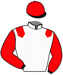 Casaque n°2