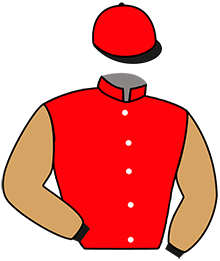Casaque n°3