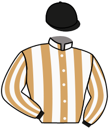 Casaque n°14