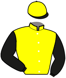 Casaque n°11