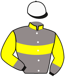 Casaque n°6