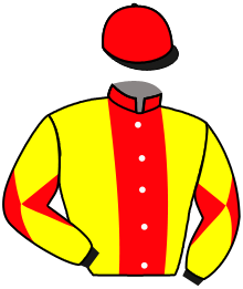 Casaque n°2