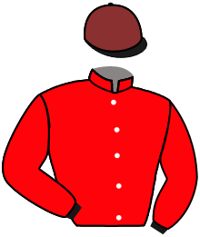 Casaque n°4