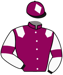 Casaque n°10