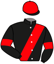 Casaque n°4