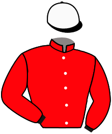 Casaque n°11