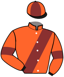 Casaque n°10