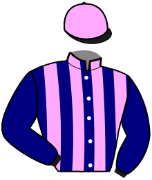 Casaque n°13