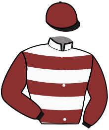 Casaque n°4