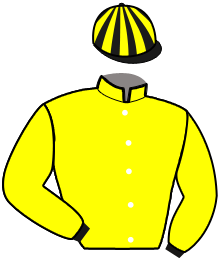 Casaque n°8