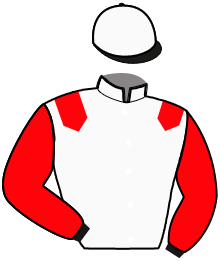 Casaque n°11