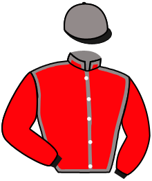 Casaque n°1