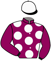Casaque n°12