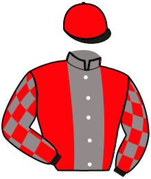 Casaque n°10