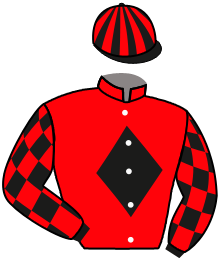 Casaque n°11