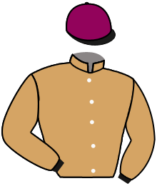 Casaque n°3