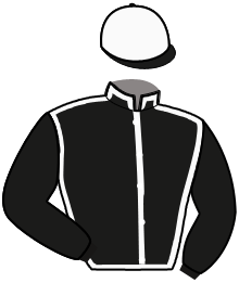 Casaque n°11