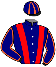 Casaque n°10