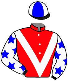 Casaque n°2