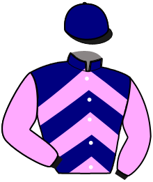 Casaque n°5