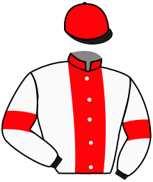 Casaque n°3