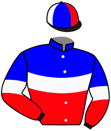Casaque n°13