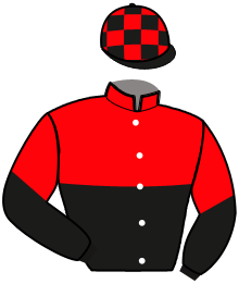 Casaque n°12