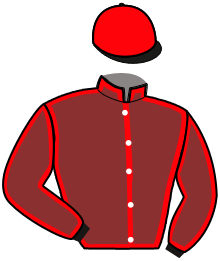 Casaque n°10