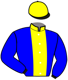 Casaque n°3
