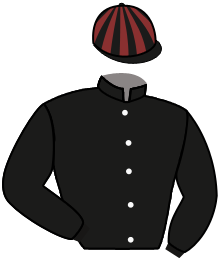 Casaque n°12