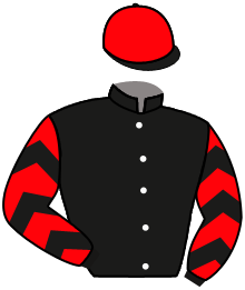 Casaque n°3