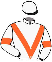 Casaque n°2