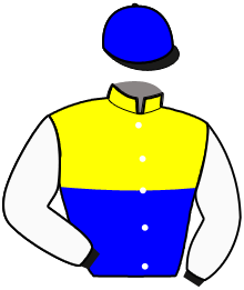 Casaque n°11