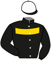 Casaque n°8