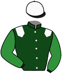 Casaque n°11