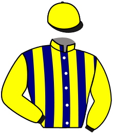 Casaque n°2