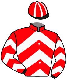 Casaque n°13